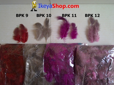 BPK 9 12  large2